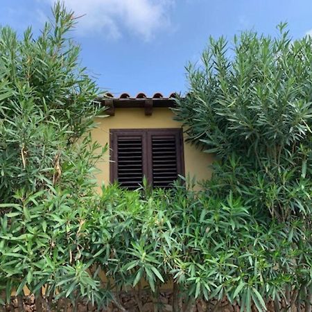 Villa Maveda, Un Dammuso Immerso Nel Verde Đảo Đảo Lampedusa Ngoại thất bức ảnh