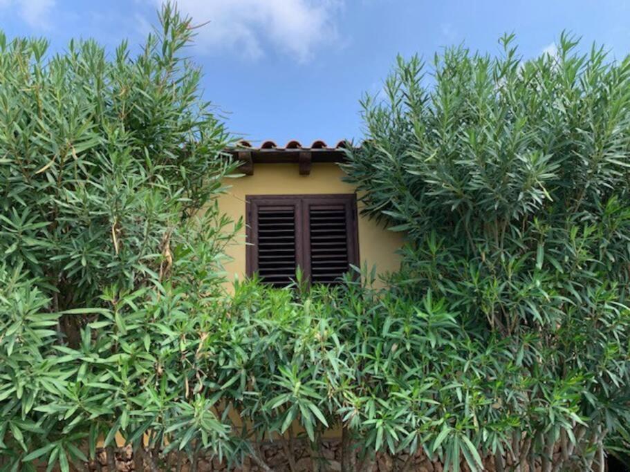 Villa Maveda, Un Dammuso Immerso Nel Verde Đảo Đảo Lampedusa Ngoại thất bức ảnh