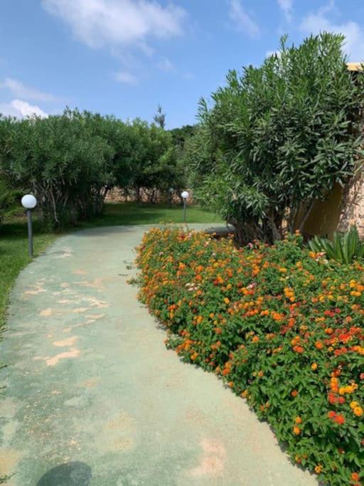 Villa Maveda, Un Dammuso Immerso Nel Verde Đảo Đảo Lampedusa Ngoại thất bức ảnh