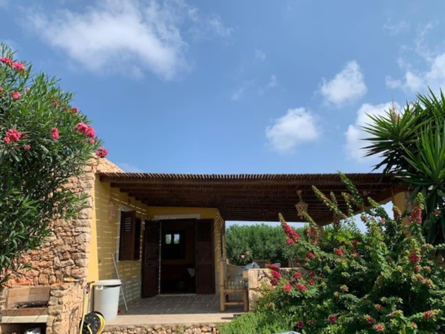 Villa Maveda, Un Dammuso Immerso Nel Verde Đảo Đảo Lampedusa Ngoại thất bức ảnh