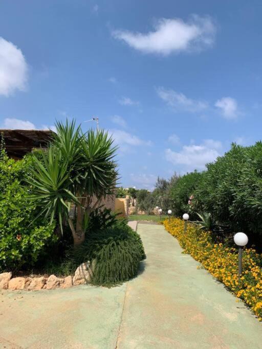 Villa Maveda, Un Dammuso Immerso Nel Verde Đảo Đảo Lampedusa Ngoại thất bức ảnh